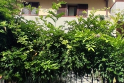VAIANO VILLETTA  A SCHIERA DI 160 MQ CON GIARDINO
