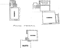 PIANTA (10637)