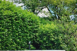 VAIANO TERRATETTO ANGOLARE DI 6 VANI CON GIARDINO