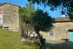 PRESSI USELLA RUSTICO DI 280 MQ CON ETTARI DI TERRENO
