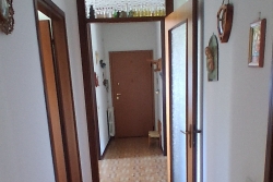 CDP01 (4)