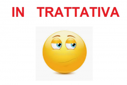 VERNIO APPARTAMENTO DI 5 VANI CON GARAGE E TERRENO