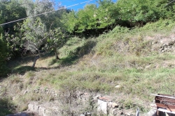 VE39 (25)