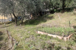 VE40 (17)